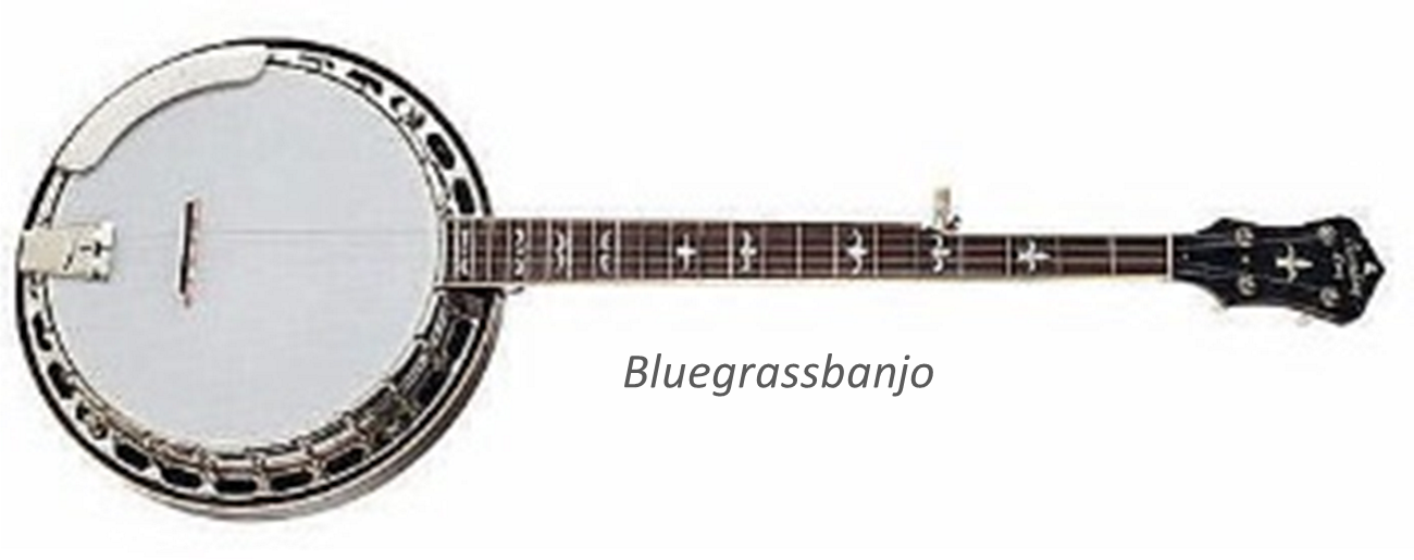 Bluegrassbanjo